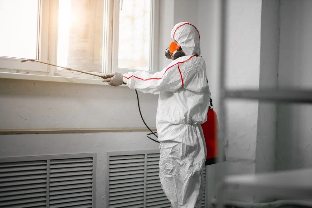 Professional mold remediation services in Reese, MI